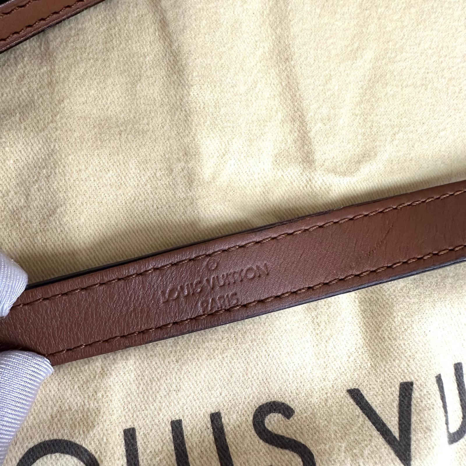 Louis Vuitton Borsa a tracolla Dauphine Mini Monogram Reverse