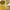 Louis Vuitton Keepall Everyday Virgil Abloh giallo 2021
