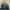 Borsa Saint Laurent Duffle Grande in Pelle Verde