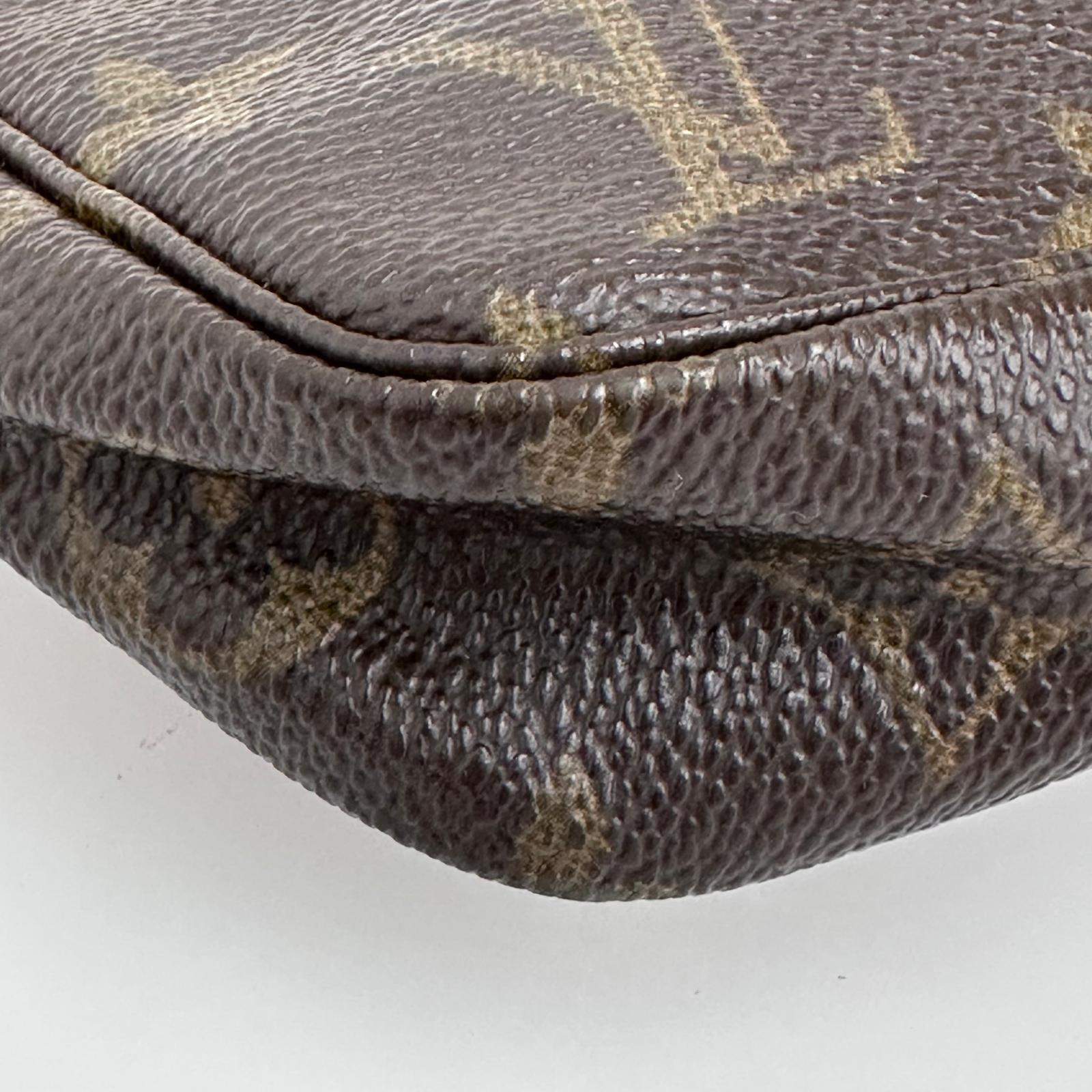 Louis Vuitton Borsa Pochette Accessoires Monogram