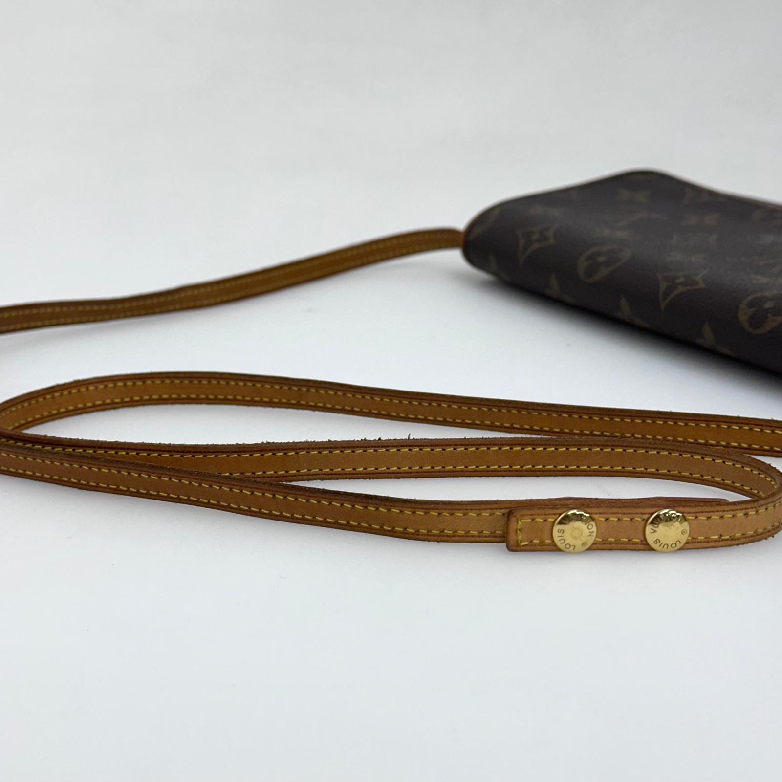 Louis Vuitton Borsa Pochette Twin GM Monogram