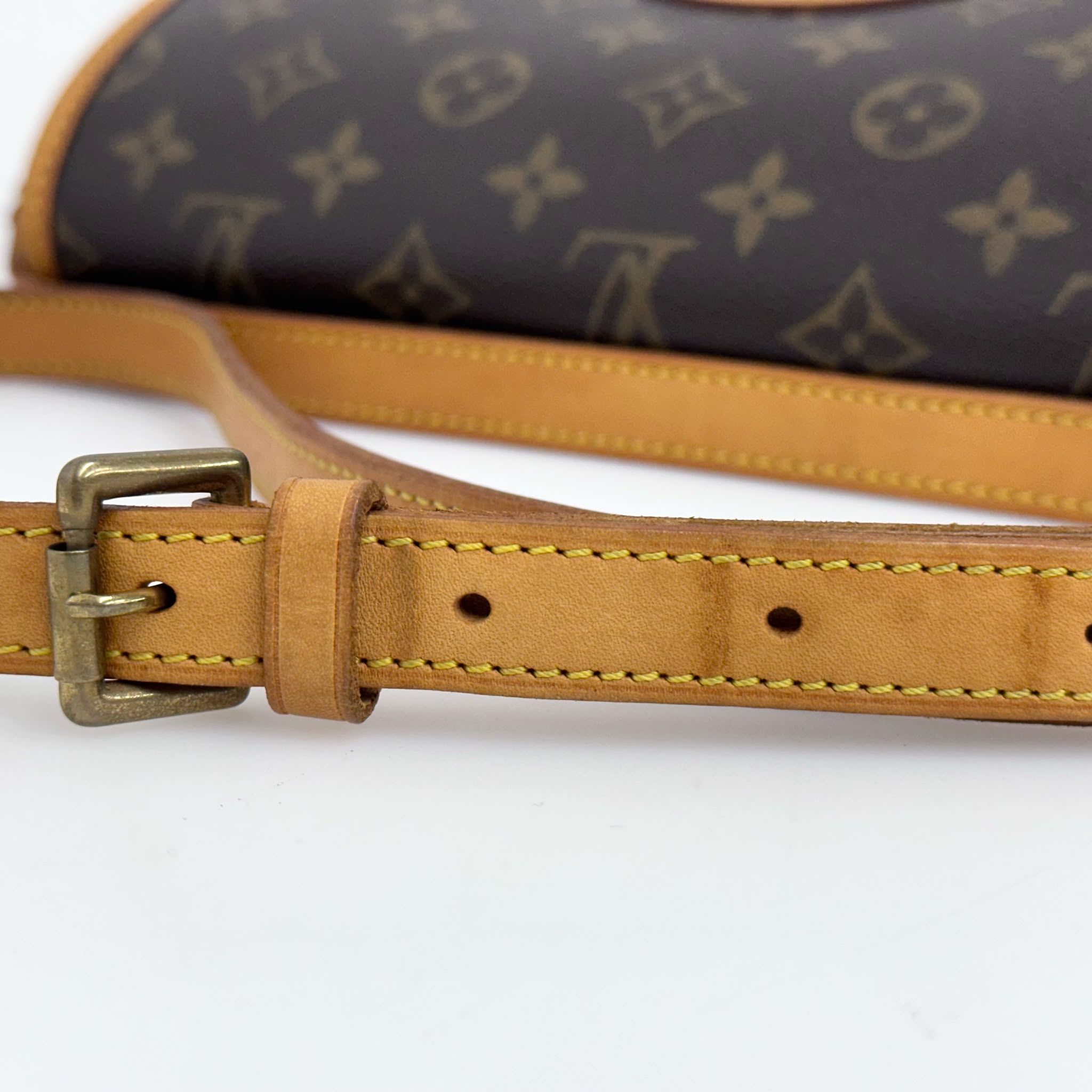 Louis Vuitton Borsa Sologne Monogram Canvas