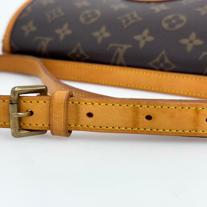 Louis Vuitton Borsa Sologne Monogram Canvas