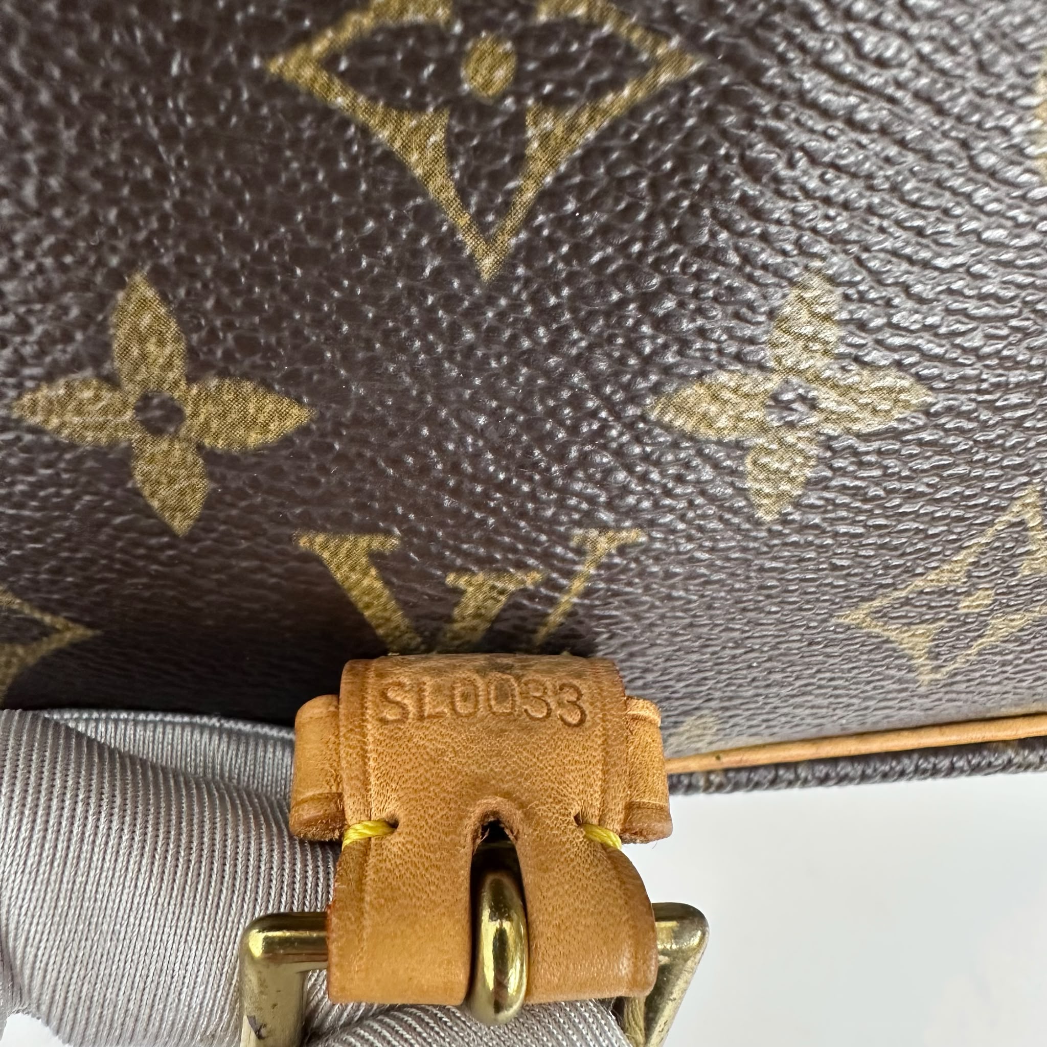 Louis Vuitton Borsa Sologne Monogram Canvas