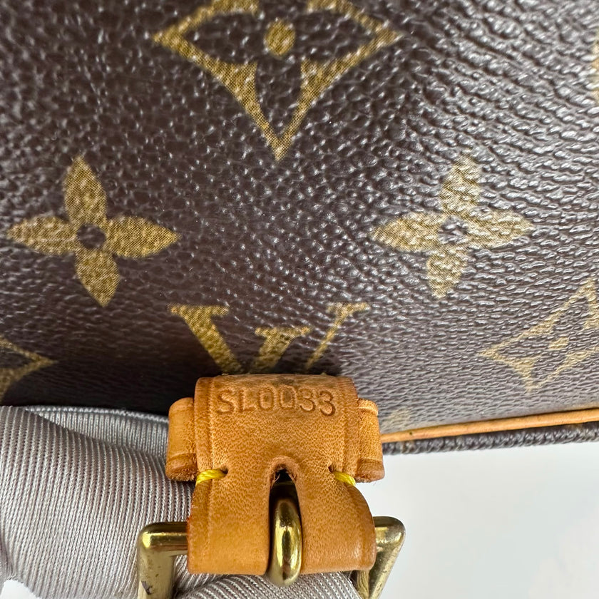 Louis Vuitton Borsa Sologne Monogram Canvas