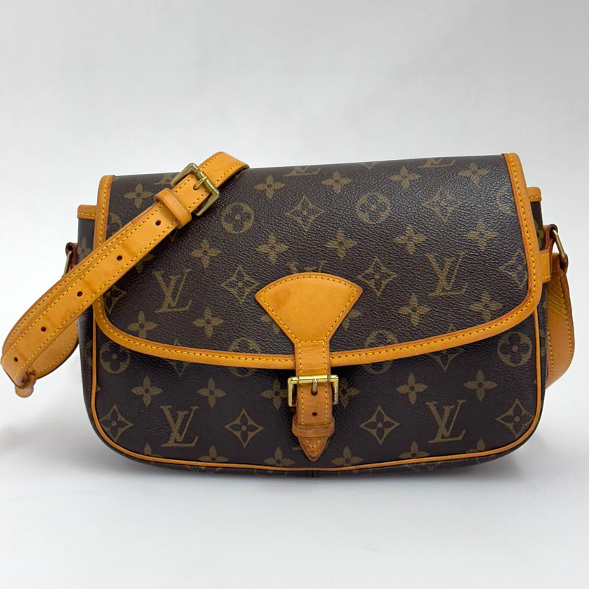 Louis Vuitton Borsa Sologne Monogram Canvas