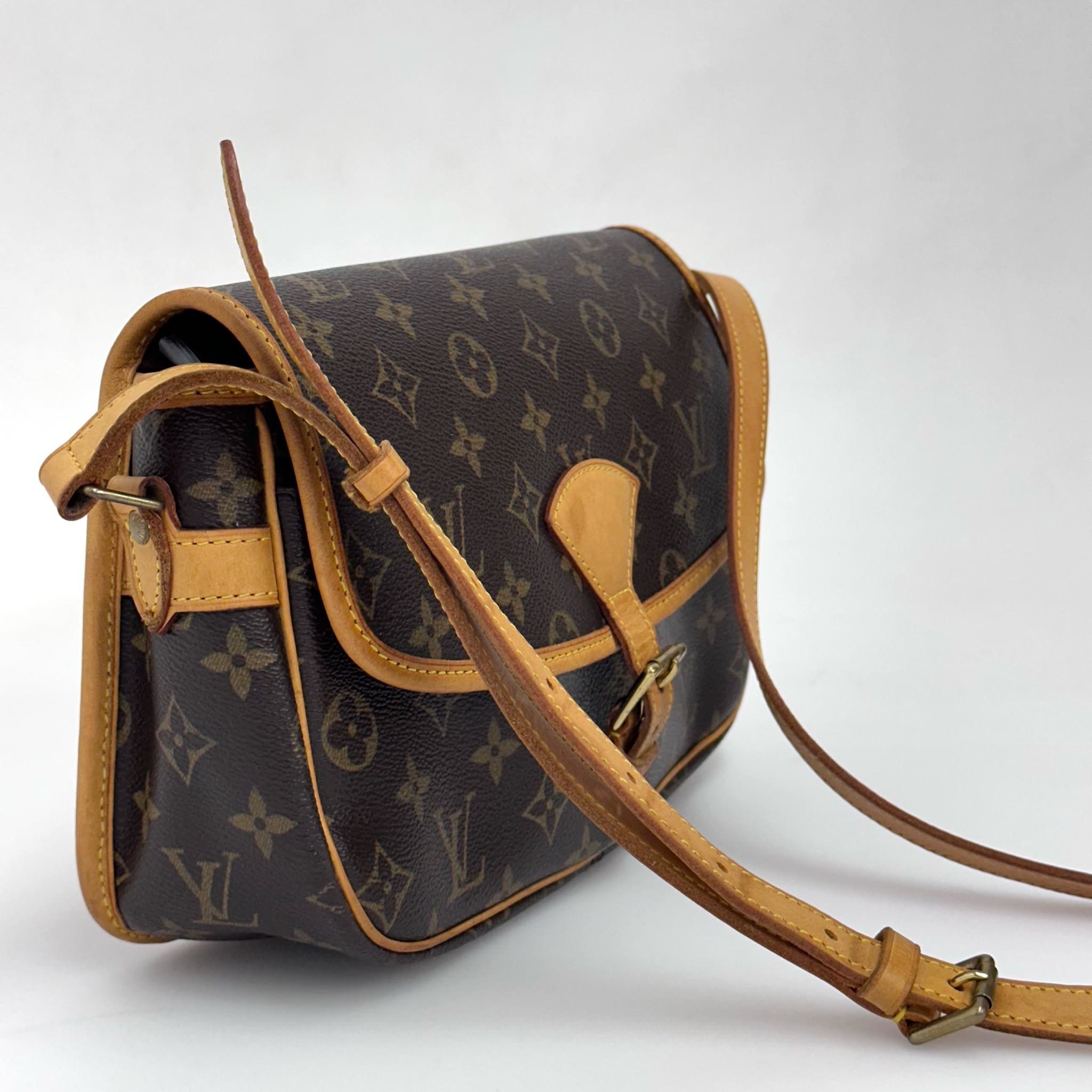 Louis Vuitton Borsa Sologne Monogram Canvas