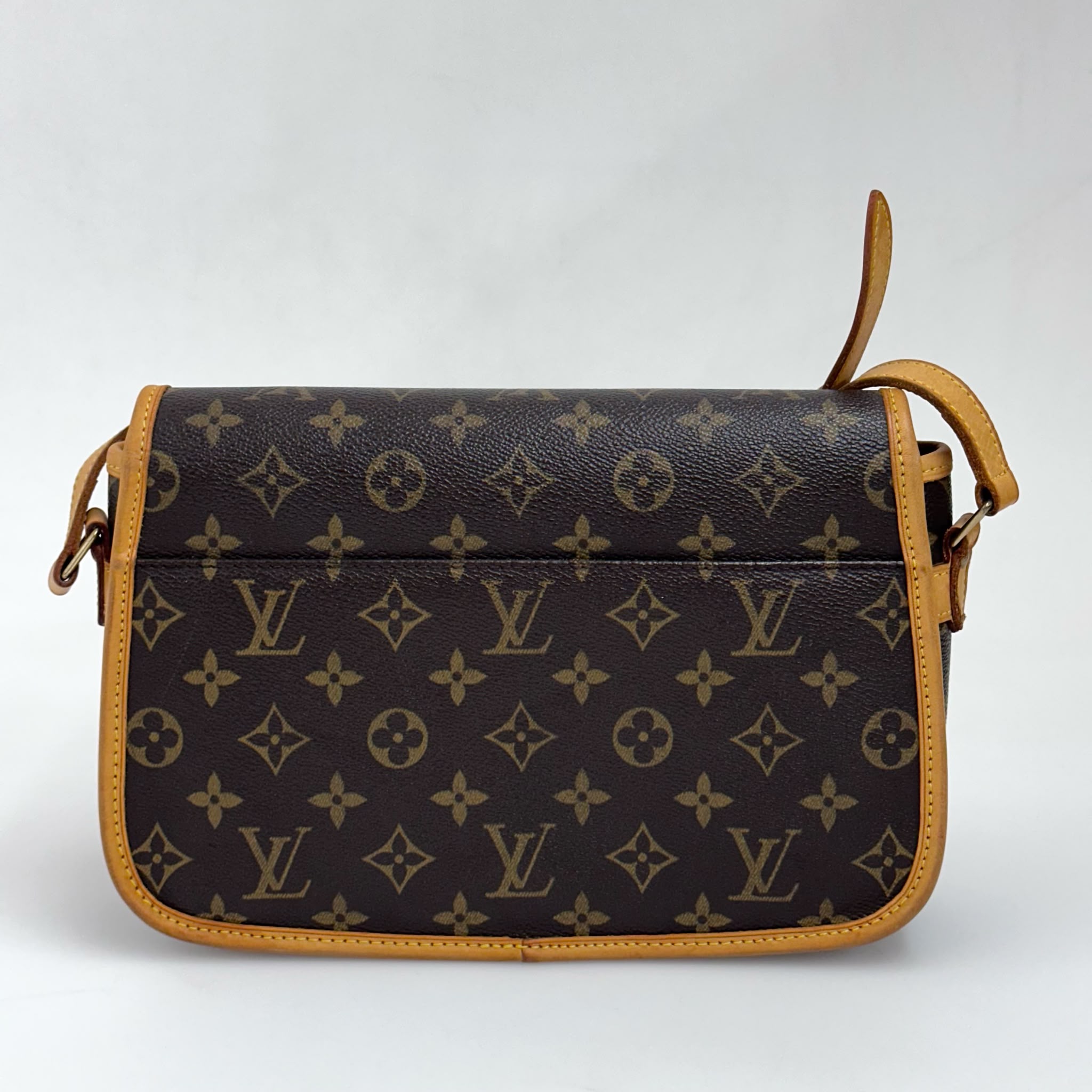 Louis Vuitton Borsa Sologne Monogram Canvas