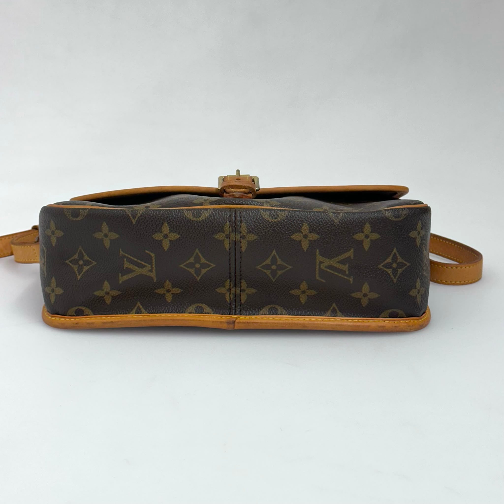 Louis Vuitton Borsa Sologne Monogram Canvas