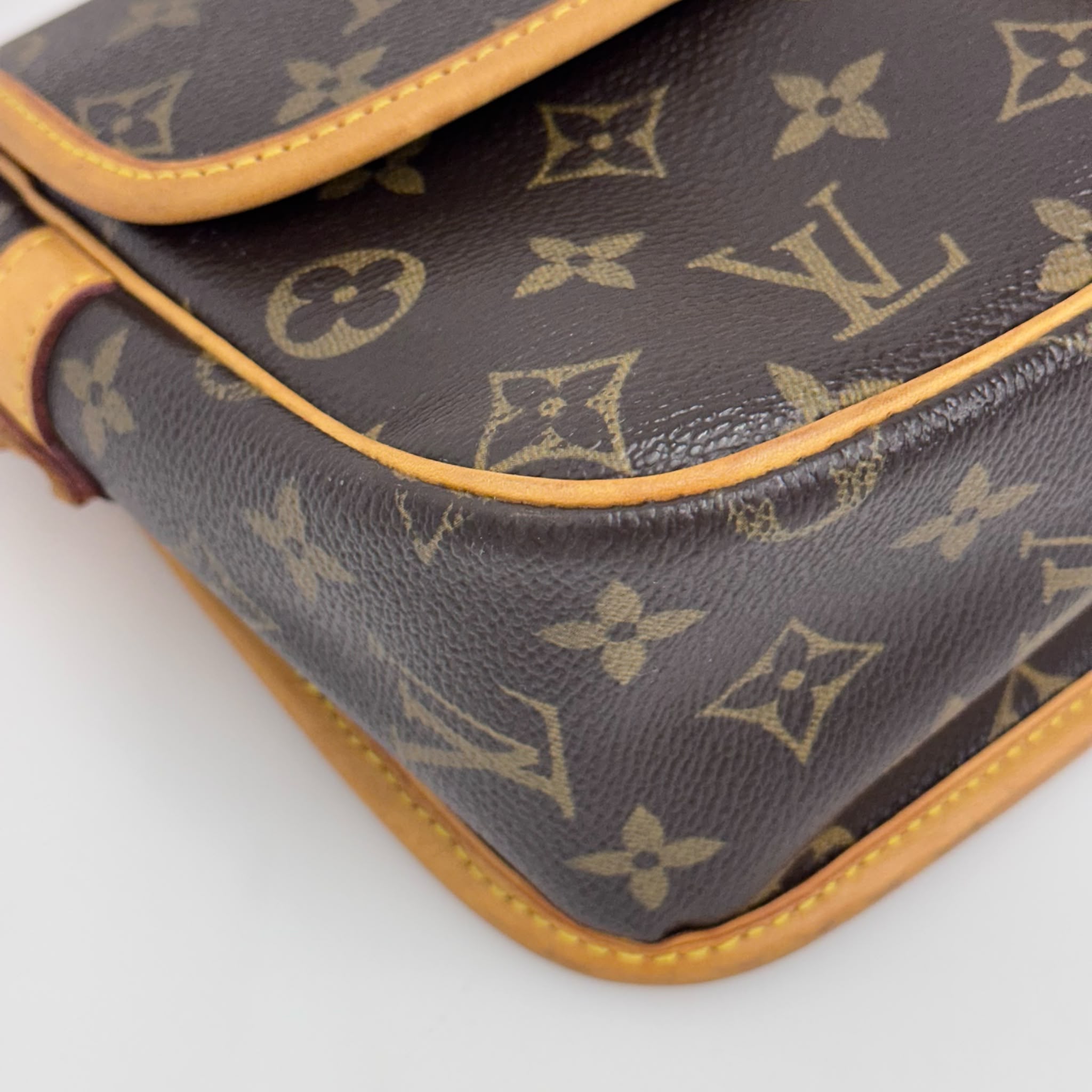 Louis Vuitton Borsa Sologne Monogram Canvas