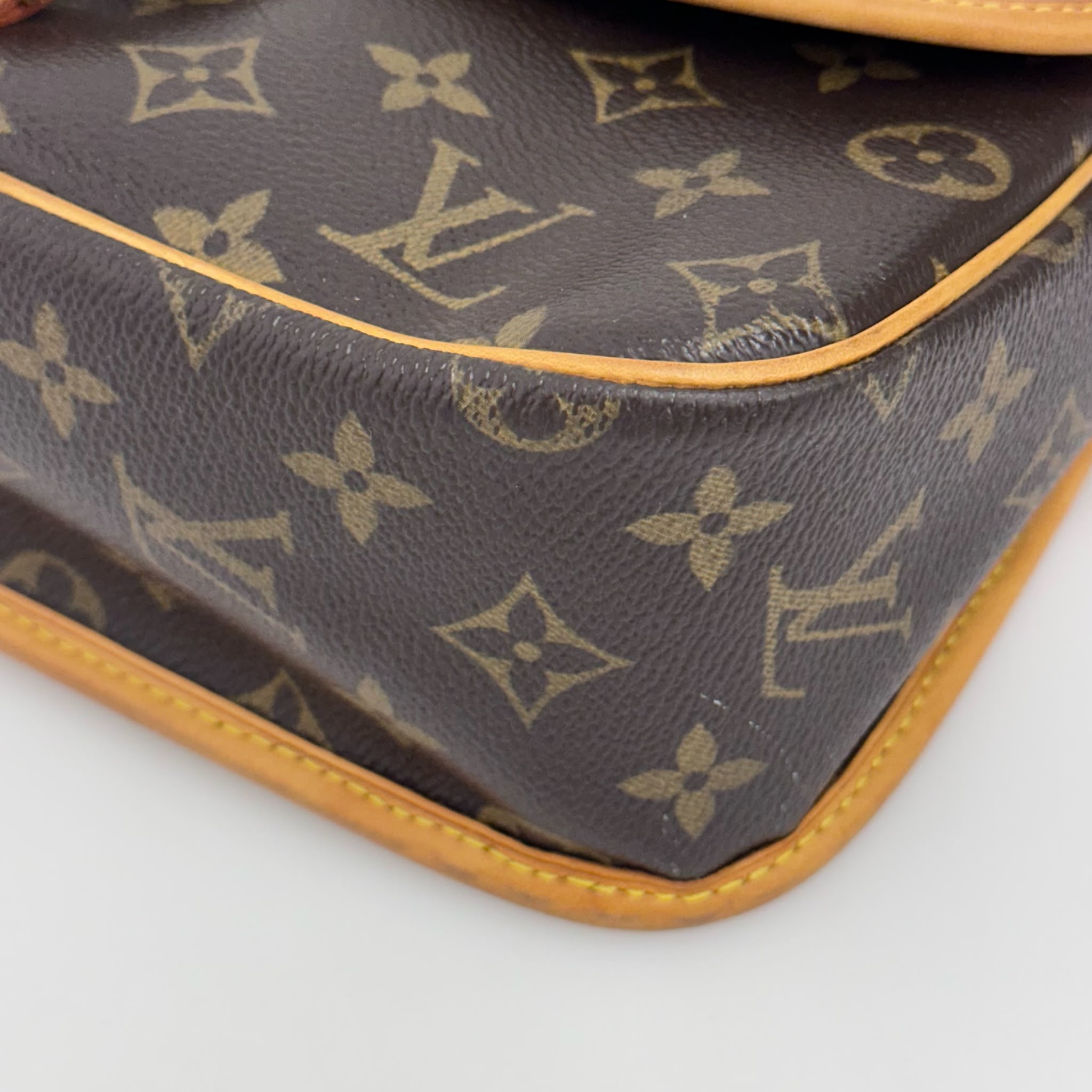 Louis Vuitton Borsa Sologne Monogram Canvas