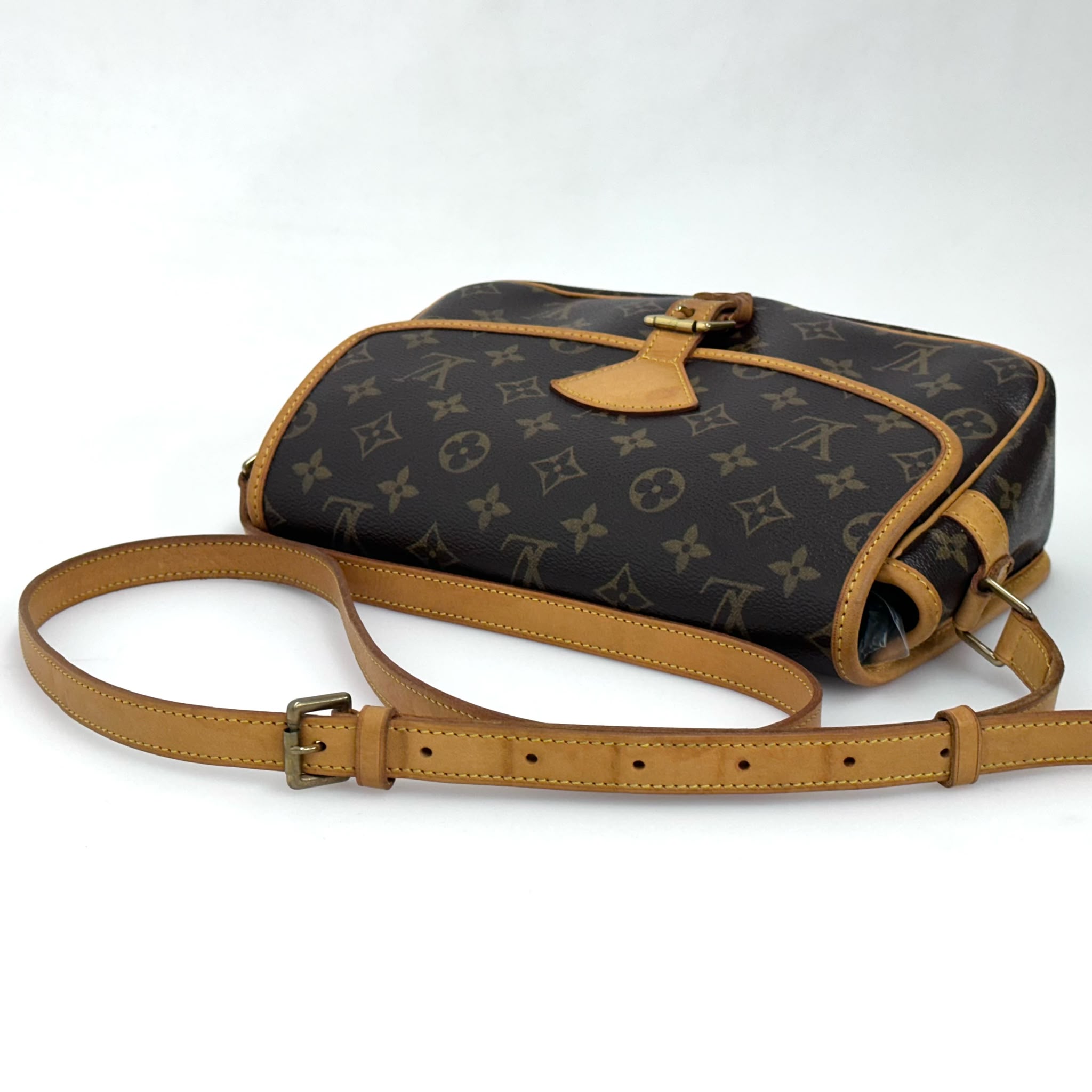 Louis Vuitton Borsa Sologne Monogram Canvas