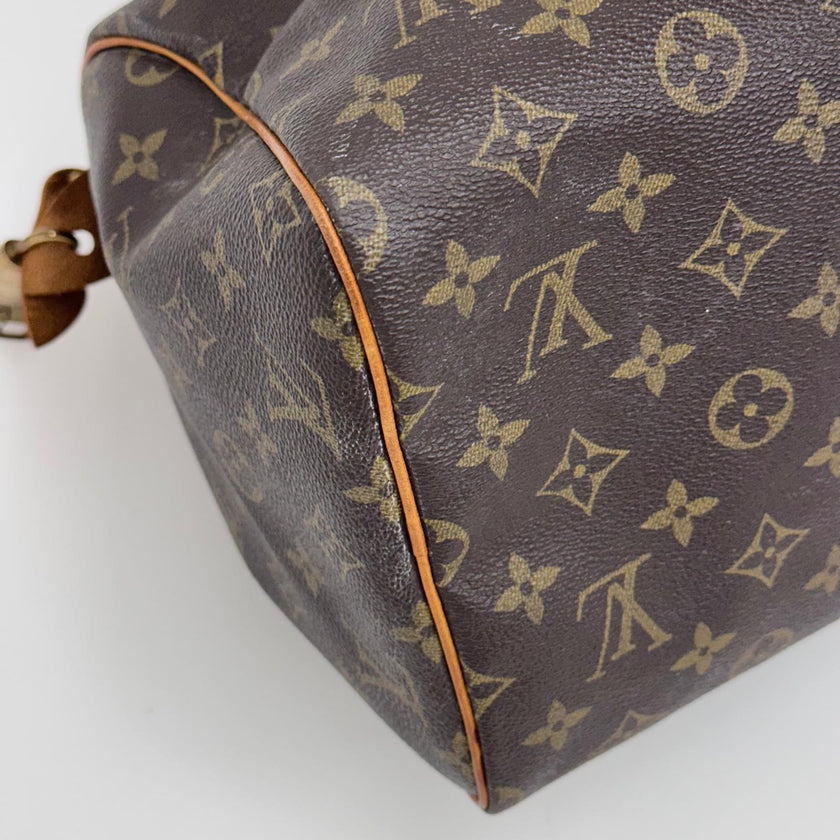 Louis Vuitton Borsa a mano Speedy 30 Monogram