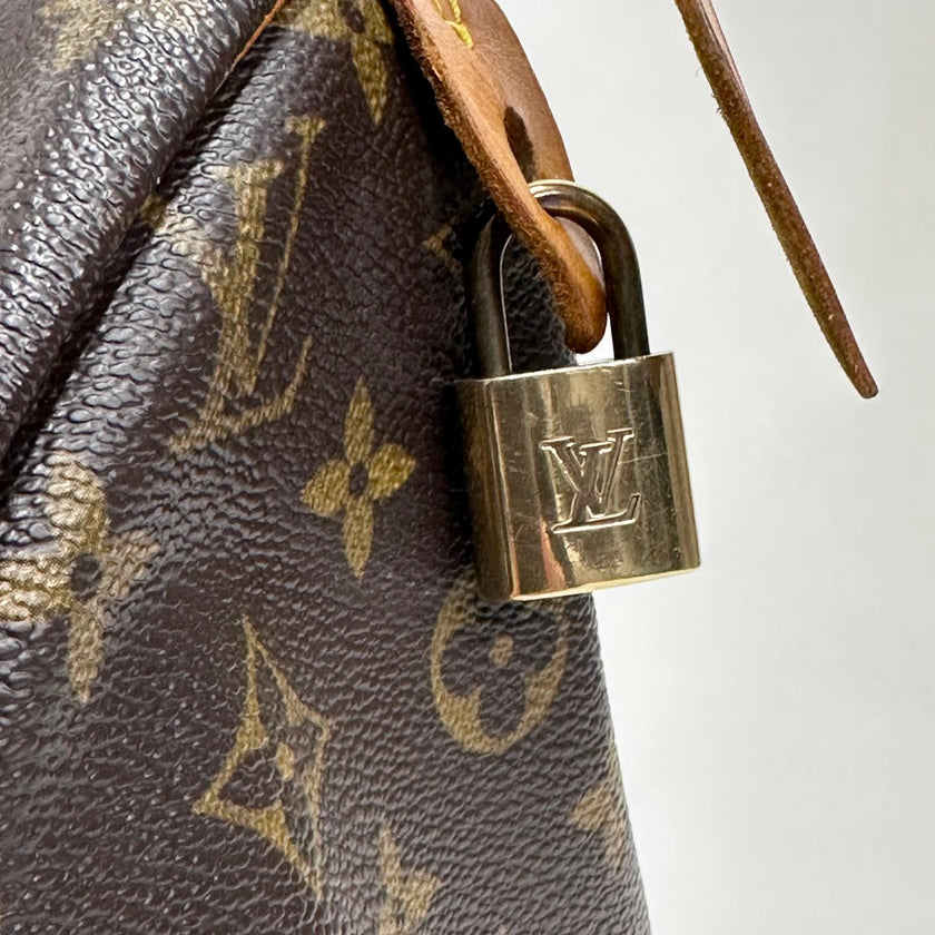 Louis Vuitton Borsa a mano Speedy 30 Monogram Canvas
