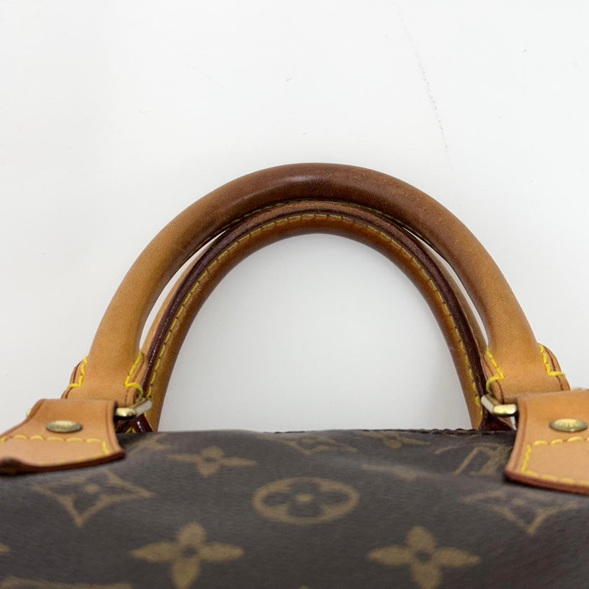 Louis Vuitton Borsa a mano Speedy 35 Monogram