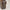 Louis Vuitton Borsa Multiple Cite in tela Monogram