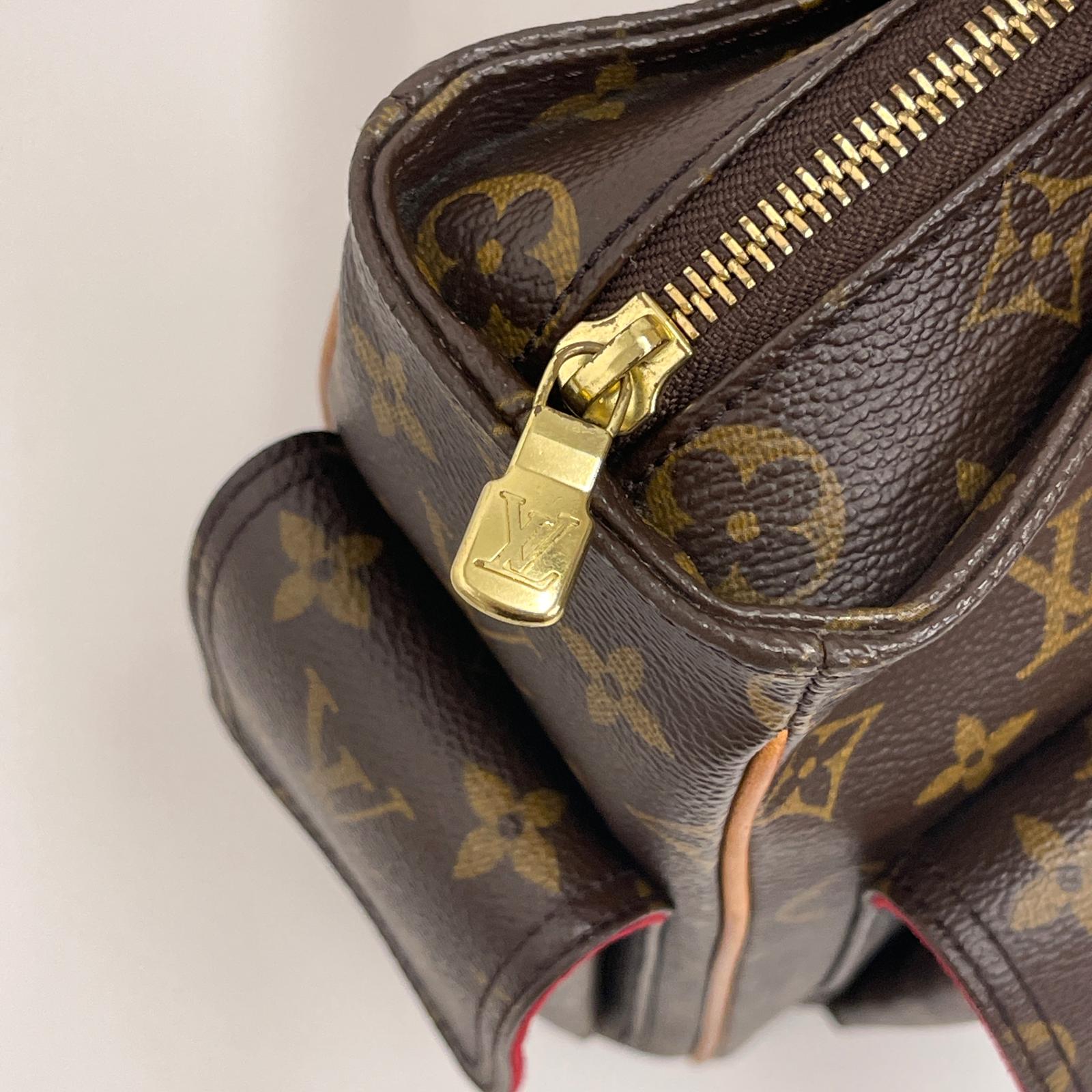 Louis Vuitton Borsa Multiple Cite in tela Monogram