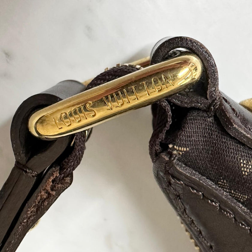 Louis Vuitton Borsa Hobo Rhapsodie Idylle in Tela Marrone