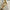 Louis Vuitton Borsa a tracolla Dauphine Mini Monogram Reverse