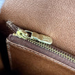 Louis Vuitton Borsa a spalla Monogram Raspail